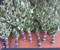 Продаю берёзовые веники