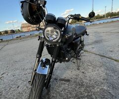 Black Seven - 6
