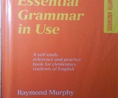 Essential Grammar in Use