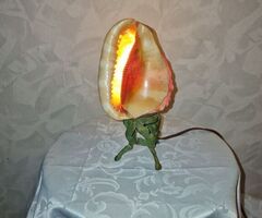 Unikāla lampa, kas Eiropā ir reti sastopama - 6