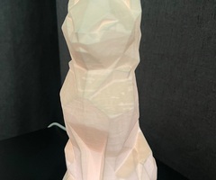 3D printēta kaķa lampa